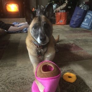 Meet your Posher, Vincent